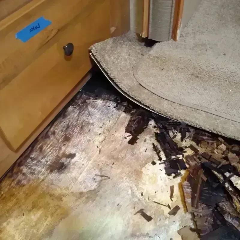 Best Wood Floor Water Damage Service in Greenbriar, FL